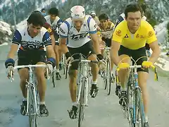 PINO ,HINAULT ,DIETCHEN,1983