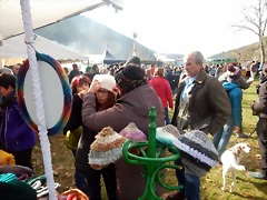 DSCN3174 DSCN3174