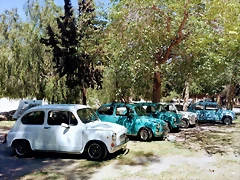 IMG-20201122-WA0039