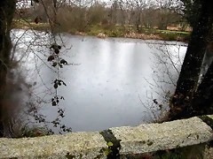 DSCN7443 DSCN7443