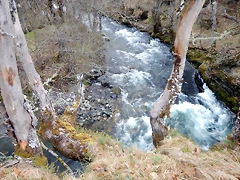 DSCN3958 DSCN3958