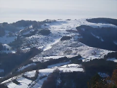 P1110100 P1110100