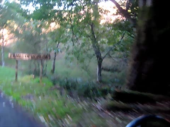 IMG_0631 IMG_0631