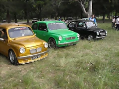 SDC11005 SDC11005