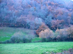 DSCN5023 DSCN5023