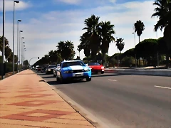 PA060862 PA060862