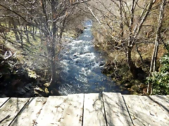 DSCN1522 DSCN1522