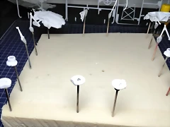 20220710_180727 20220710_180727