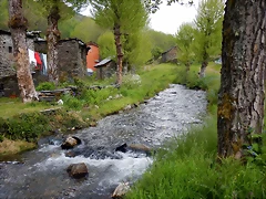 DSCN1254 DSCN1254