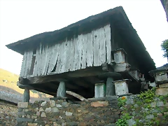 DSCN8588