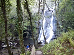 DSCN4741 DSCN4741