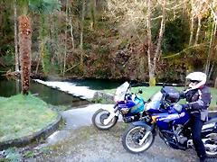 DSCN3601