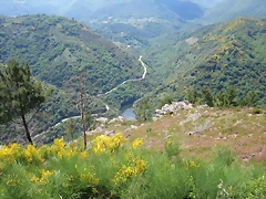 IMG_2786 IMG_2786