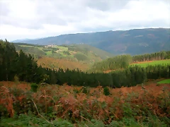 DSCN6242 DSCN6242