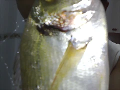 11082010606