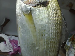 11082010607