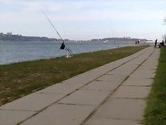 17042010473