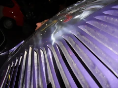 SDC10910 SDC10910