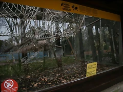 Zoo de Barcelona 28-01-11 007 Zoo de Barcelona 28-01-11 007