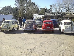 IMG-20130817-05569 IMG-20130817-05569