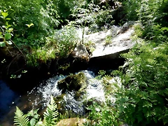 DSCN2471