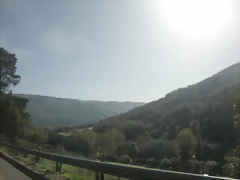 DSCN9977 DSCN9977