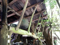 DSCN5019 DSCN5019
