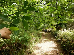 DSCN4342 DSCN4342