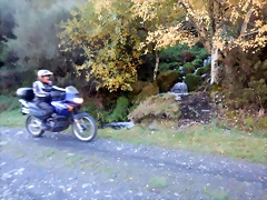 DSCN1330 DSCN1330