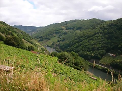 DSCN1691