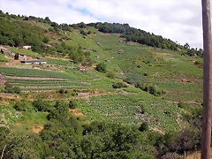 DSCN1686