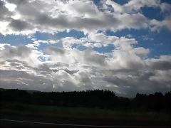 DSCN1661