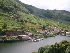 DSCN1704