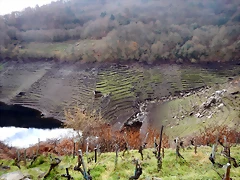 DSCN1340 DSCN1340