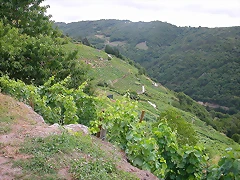 DSCN1684