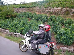 DSCN1683