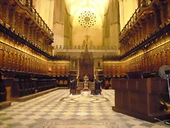 DSCN1617 DSCN1617