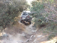 toyota 3