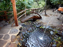 DSCN9667 DSCN9667