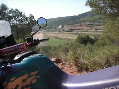 almedijar 036 almedijar 036