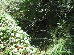 almedijar 093
