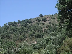 almedijar 104 almedijar 104