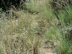 almedijar 073