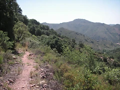 almedijar 078