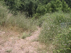 almedijar 099 almedijar 099