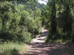 almedijar 110 almedijar 110