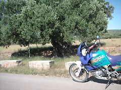 almedijar 045 almedijar 045