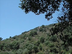 almedijar 074