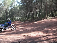 almedijar 035 almedijar 035
