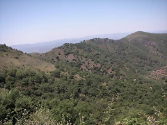 almedijar 084